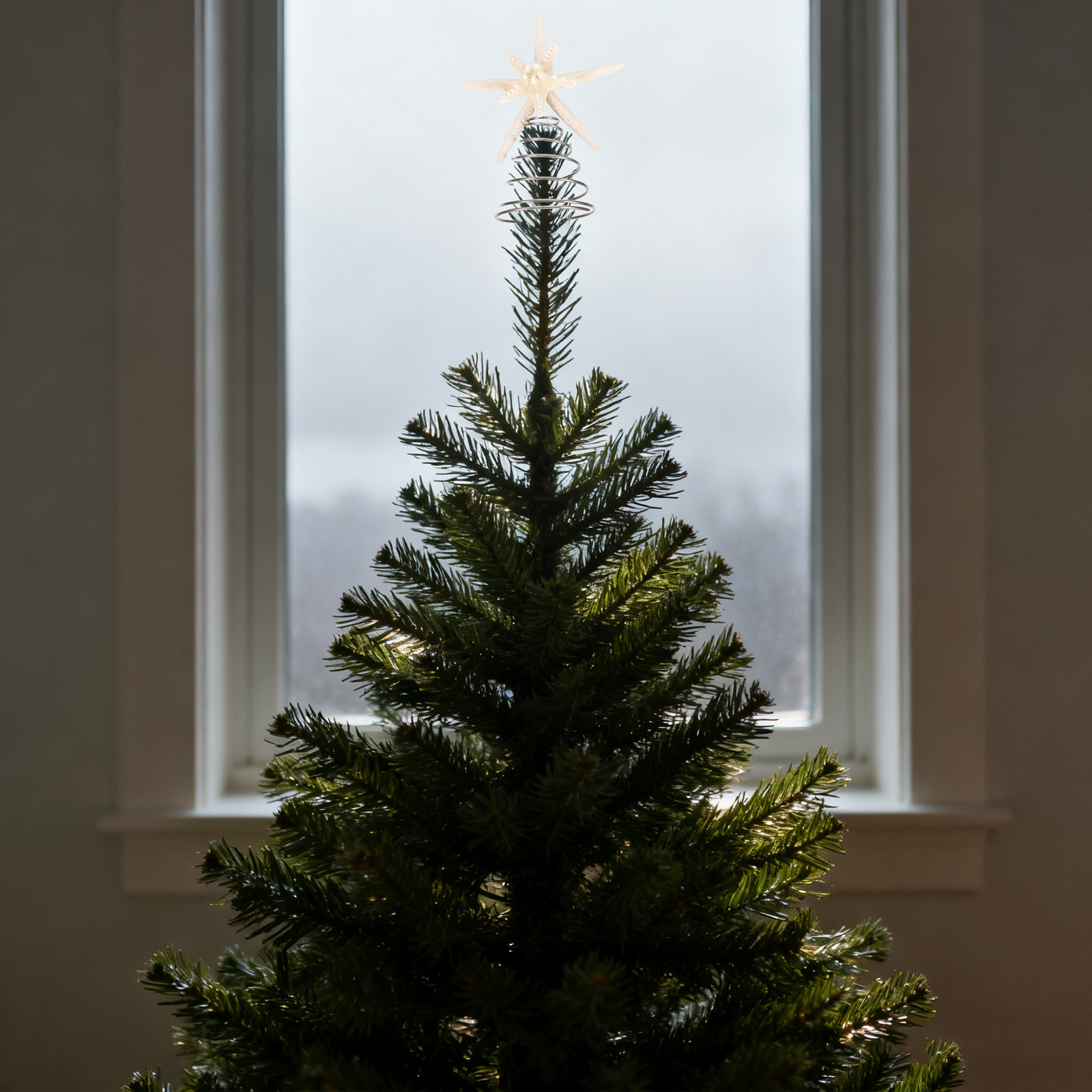 Coastal Christmas Tree Topper  - Star Tree Topper ulasan dan harga